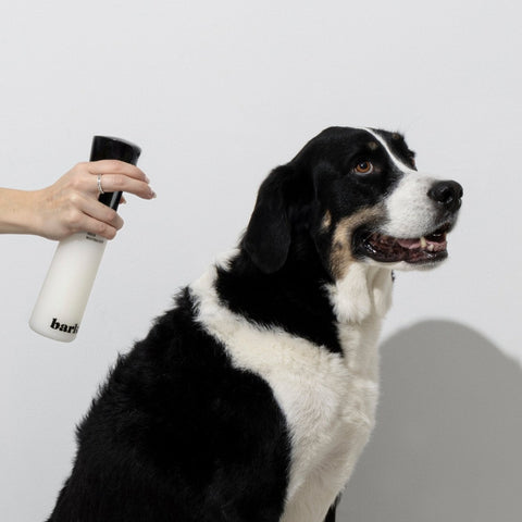Coat Enriching + Odor Neutralizer