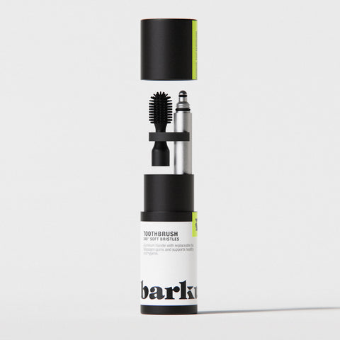 Toothbrush Aluminium 06