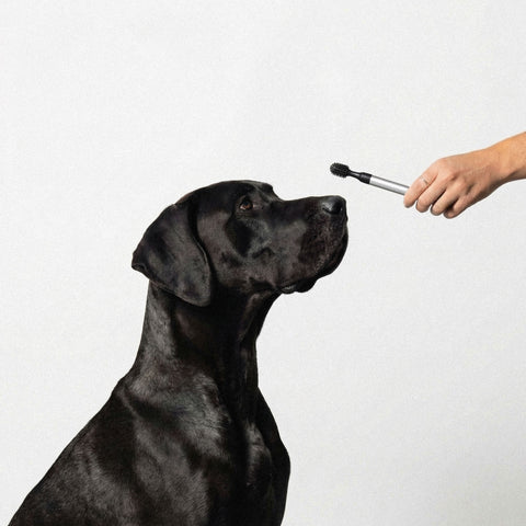 Toothbrush Aluminium 06