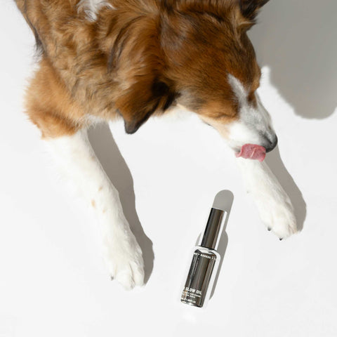 Fur Glow Oil