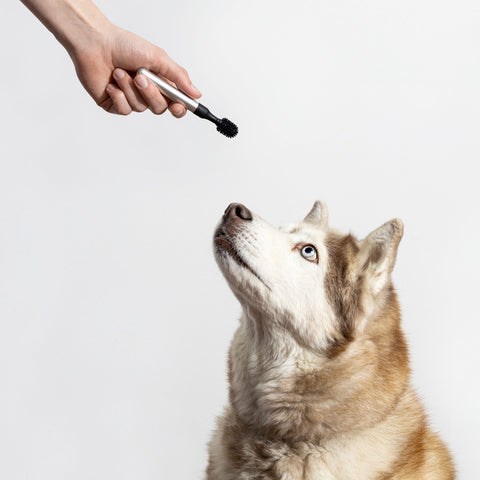 Toothbrush Aluminum 05