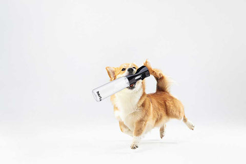 Coat Enriching + Odor Neutralizer