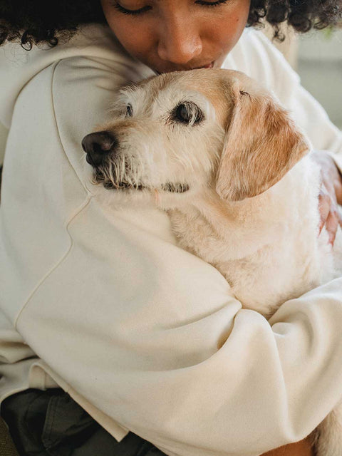 Why mourning a pet can be harder than grieving for a person